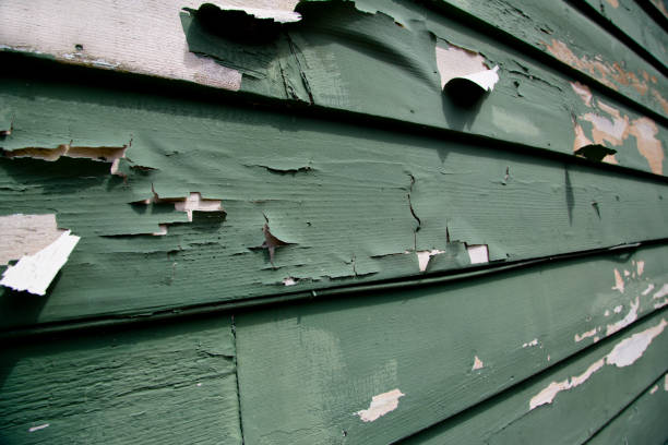 Best Same-Day Junk Removal Services  in Fairview Park, IN