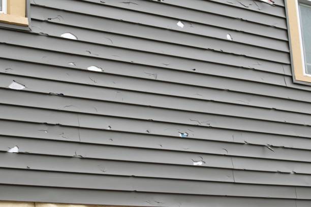 Best Demolition Debris Removal  in Fairview Park, IN